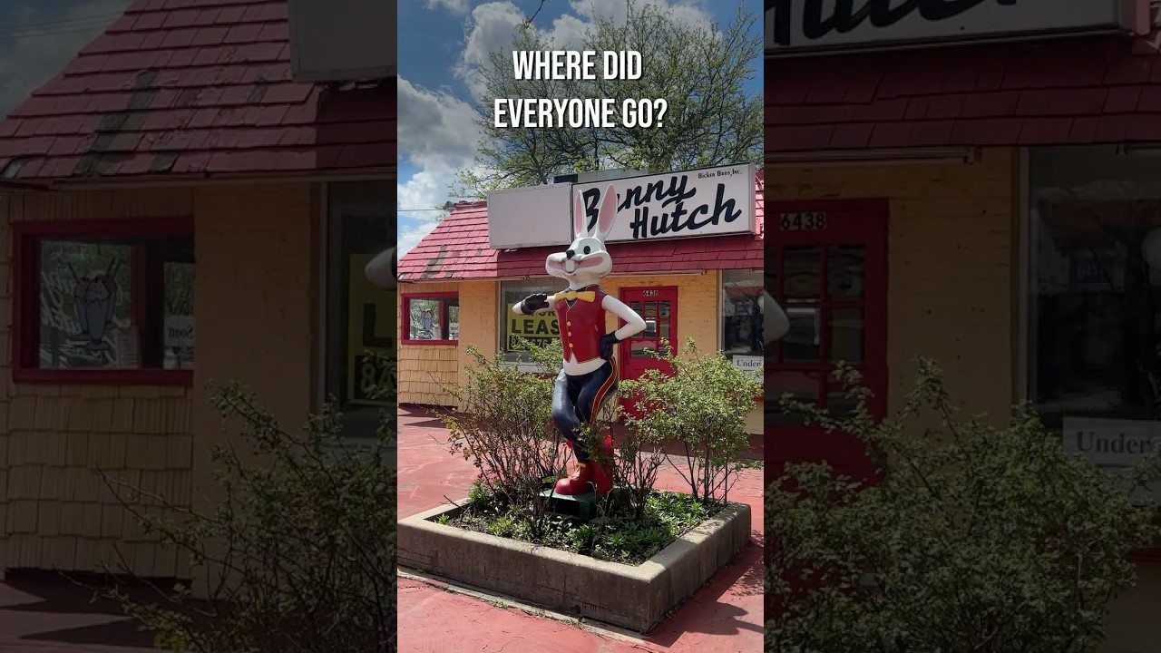 Bunny Hutch Used to Be Packed… Now It’s Empty (Chicago)