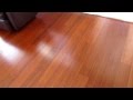 Review of the LUMBER LIQUIDATORS Morning Star.
