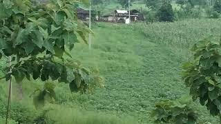 preview picture of video 'Best location.पाटतलाई, सीहोर, मध्यप्रदेश'