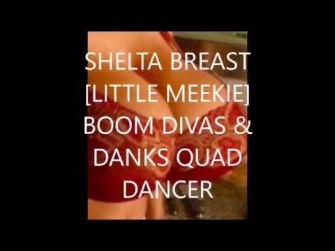 SHELTA BREAST (New Dance) LITTLE MEEKIE - KESTA RECORDS INC