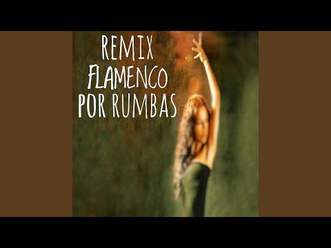 Flamenco por Rumbas (Remix)