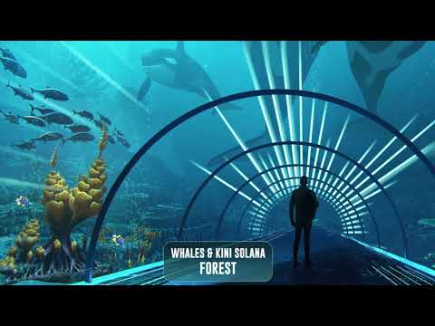 Video thumbnail for Forest