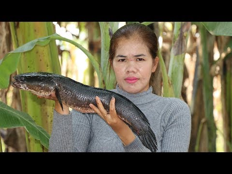 Amazing Cooking Roast Big Fish In Clay Recipe  -  Cook Roast Fish Delicious  - Village Food Factory