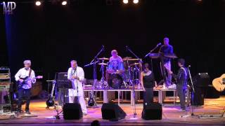 Van Der Graaf Generator - Killer (cover by The Prog Machine)