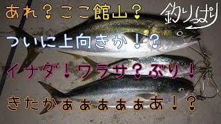 館山もついに夏を迎えました？！青物到来か！？6/17～18【釣りっぱり】