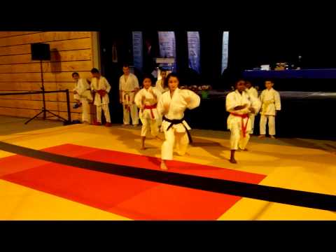 Démonstration ES Stains karaté 05/12/2014