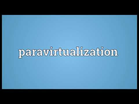 Paravirtualization Meaning