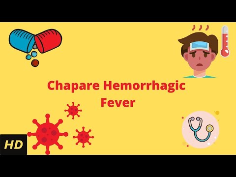 Chapare Hemorrhagic Fever Causes Signs and Symptoms Diagnosis and Treatment