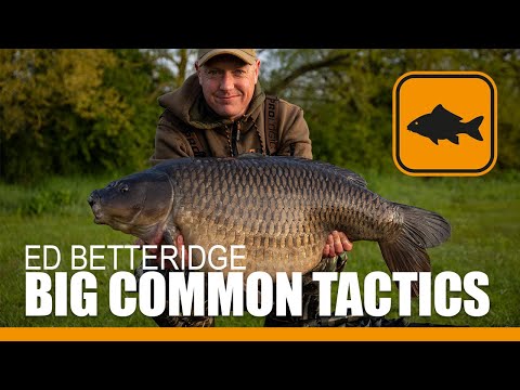 Carp Fishing, Big Common Tactics - Ed Betteridge