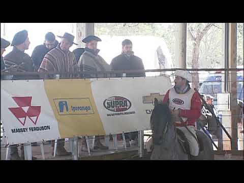 Classificatória de Campo Grande - 6º lugar machos - Vencedor da Marca Antiga (Mangueira II)