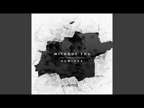Video thumbnail for Without You (Rob Adans Remix)