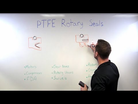 PTFE Rotary Seals