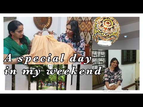 #Vlog | సరదాగా ఫ్రెండ్స్ తో  | Telugu Vlogs in Singapore | Special with SriLakshmi Reddy Gujjula