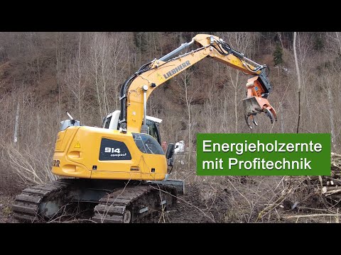 LU-DENGG: Energieholzernte mit Liebherr R914C Bagger, Oilquick, Axer, Hultdins, Forstarbeit,