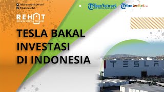Tesla Bakal Investasi di Indonesia, Bukan Produksi Mobil Listrik, tapi Bangun Infrastruktur Baterai