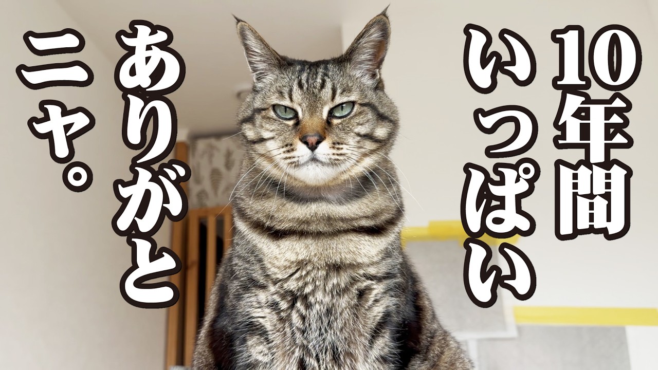 皆様10年もの間本当にありがとうございました！