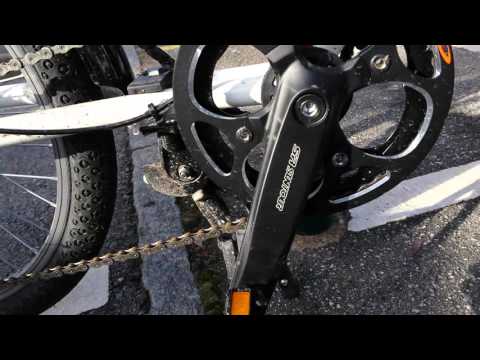 Zigo leader trike triporteur dahon