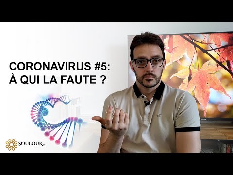 Coronavirus #5 : À qui la faute ? Coronavirus #5 : À qui la faute ?