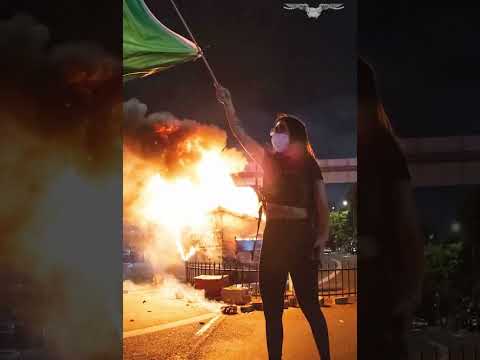 Newsom taunts Tom Homan over immigration enforcement: 'Arrest me'