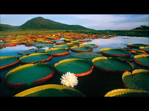 Meu País - Zezé di Camargo & Luciano