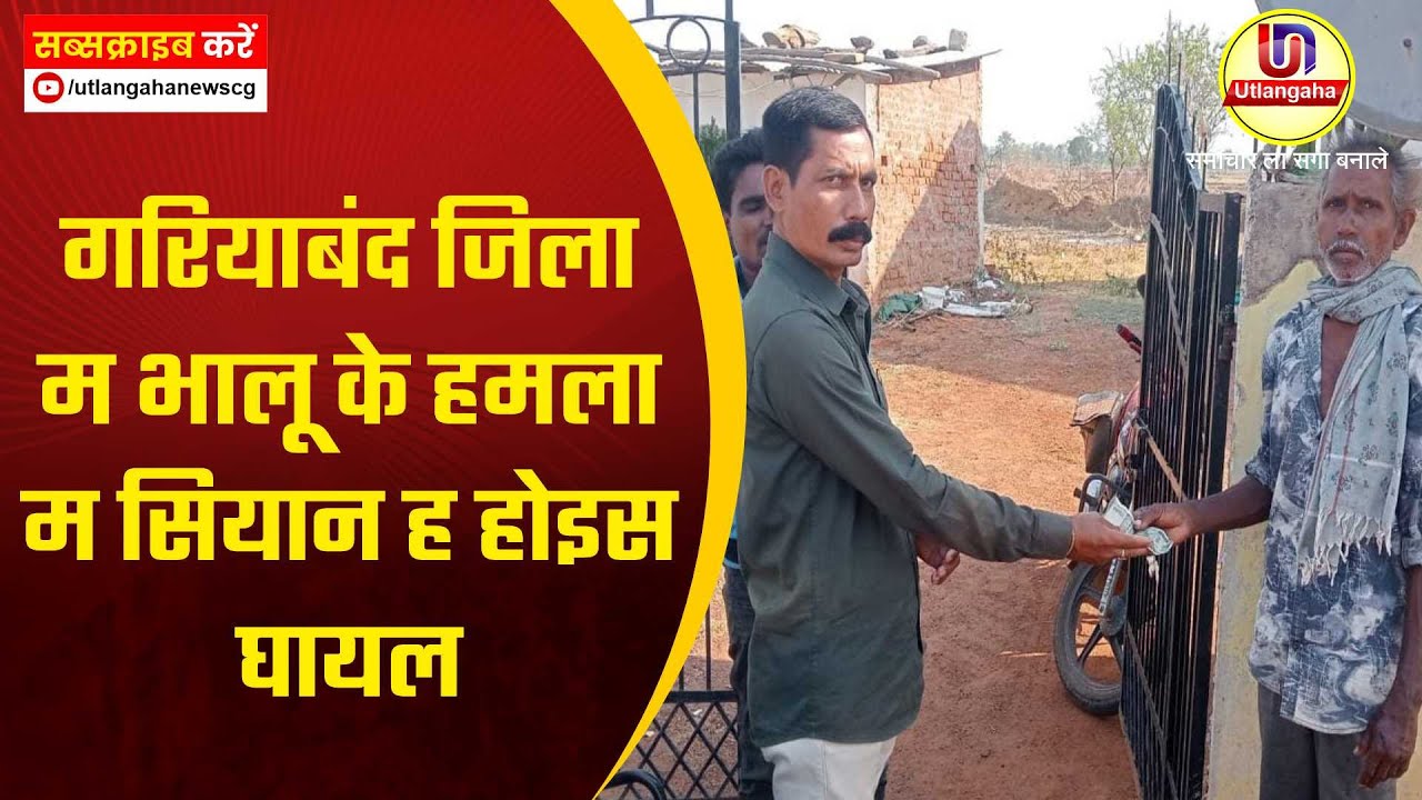 गरियाबंद जिला म भालू के हमला म सियान ह होइस घायल