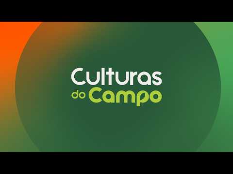 Culturas do Campo | 25/07/2026 | 7h