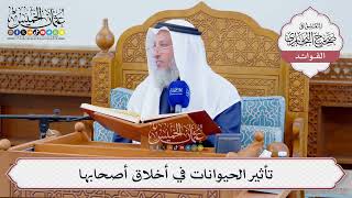 [1285] تأثير الحيوانات في أخلاق أصحابها - عثمان الخميس