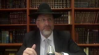 Les 613 mitsvotes 51 et 52 un taureau a mettre a mort