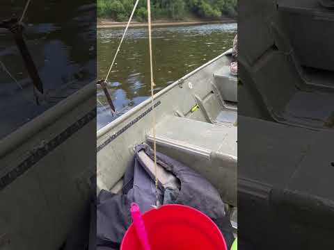 Anchor - Trotline