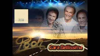 Cara bellissima , Pooh(1975) , by Prince of roses