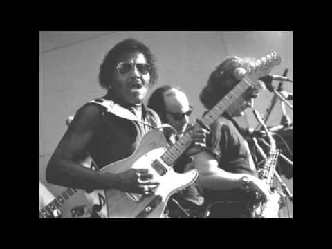 Albert Collins - Don't Lose Your Cool