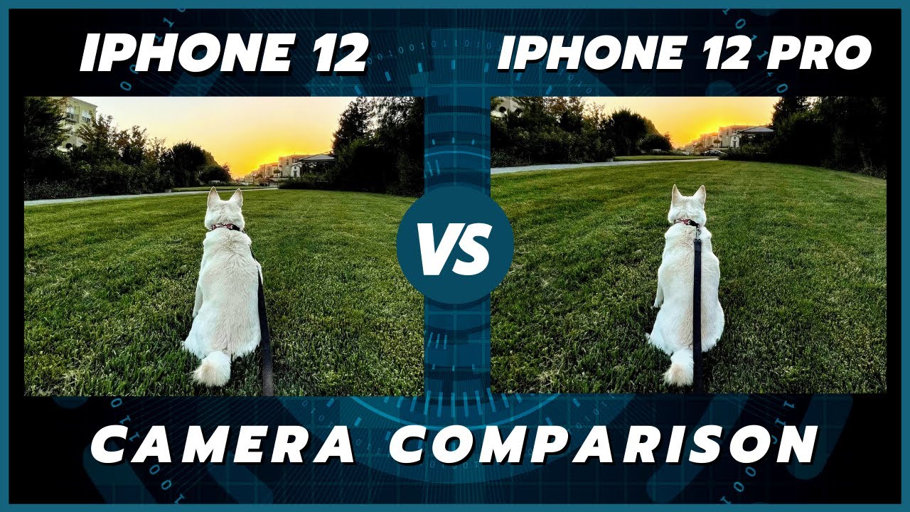iPhone 12 vs 12 Pro Camera Comparison