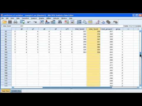 Variationskoeffizient - SPSS (Teil 2)