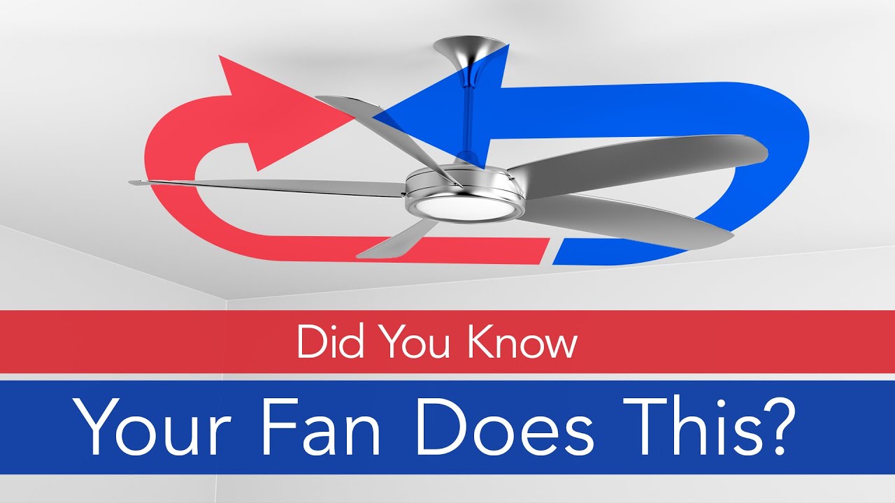 How to Change the Ceiling Fan's Direction | Aire Serv