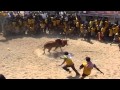 PR Sevalai Jallikattu Peravai