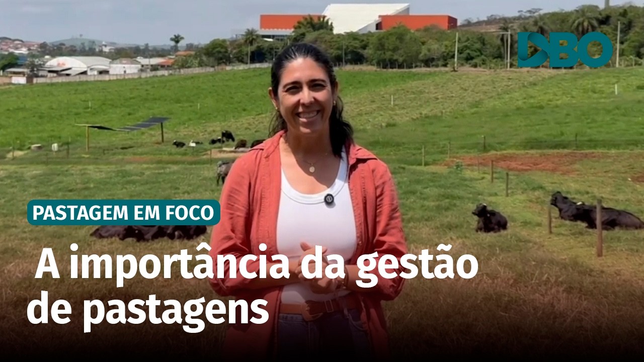 Planejamento forrageiro: por que o pecuarista precisa fazer?