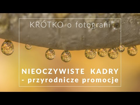 NIEOCZYWISTE kadry fotograficzne - przyrodnicze promocje - KRÓTKO o fotografii