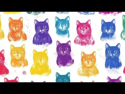 Kitty Kats Forum