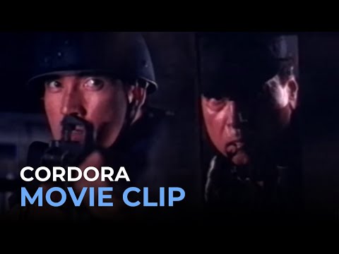 Cordora’s relentless pursuit of a notorious criminal! | Cordora