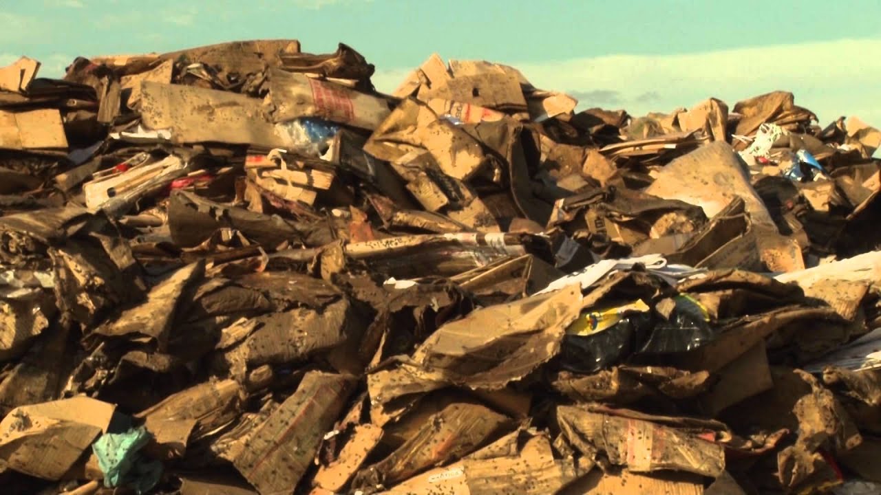 Lei dos Resíduos Sólidos: entenda as dificuldades dos Municípios em cumprir a lei