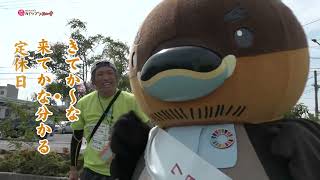 2024/10/23放送・知ったかぶりカイツブリにゅーす