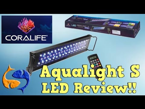 Coralife Aqualight S LEDs Review! Super bright at an affordable price! KGTropicals!