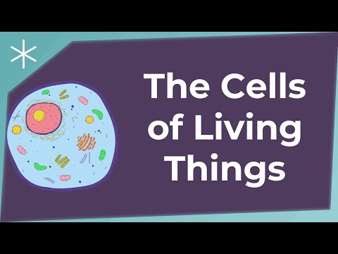 The Cells of Living Things