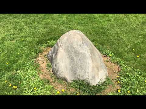 You Rock Rock! (I❤️Fuckabees)