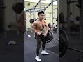 A shoulder day (description)