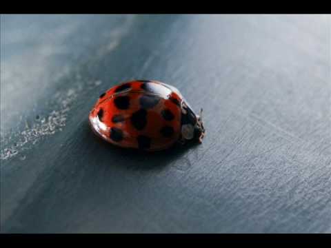 Tenthu - Zair (Proff Remix)