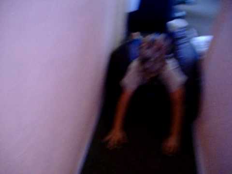 ANTHONY THE MONSTER CHASING MEE!!!!!!!