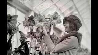 Tip-Toe Through The Tulips - Jack Hylton And His Orchestra - HMV B 5722