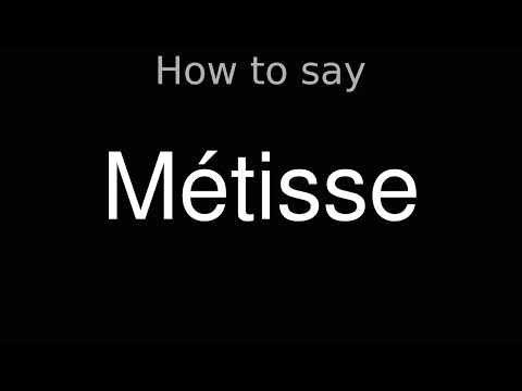 How to Pronounce correctly Métisse (Movie)