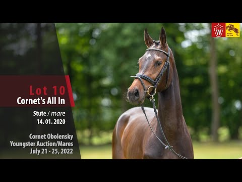 Cornet Obolensky Youngster Auction Lot 10 Cornet's All in Stute v. Cornet Obolensky - Diarado